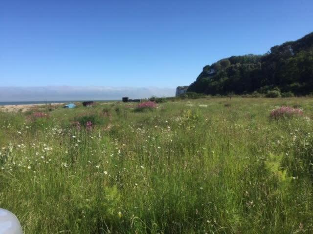 Mariner'S Cottage - On Kingsdown Beach Deal Extérieur photo